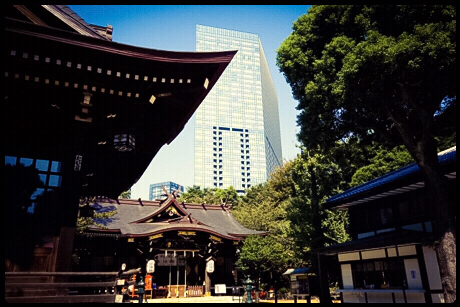 撮影に行ってきました