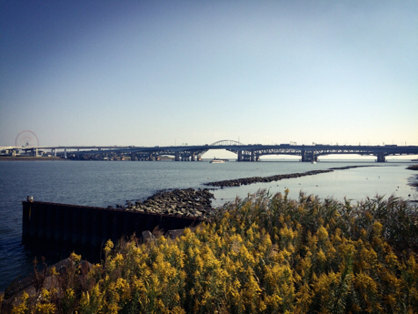 image from https://www.tfac.ac.jp/wp-content/themes/mps-themes/images/blogs/diary/6a0128763f57cc970c01b7c7dfcf53970b.jpg