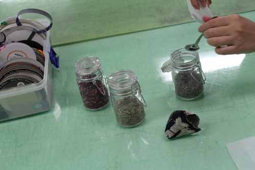 20160922_8872 20160922_8872