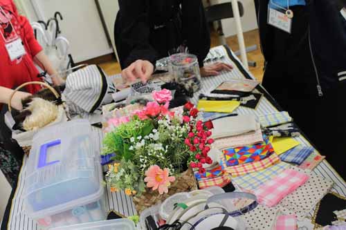 20160922_8872 20160922_8872