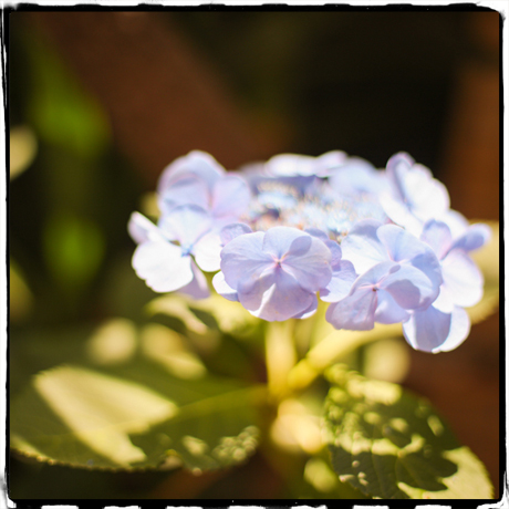 理事長ブログ20180705