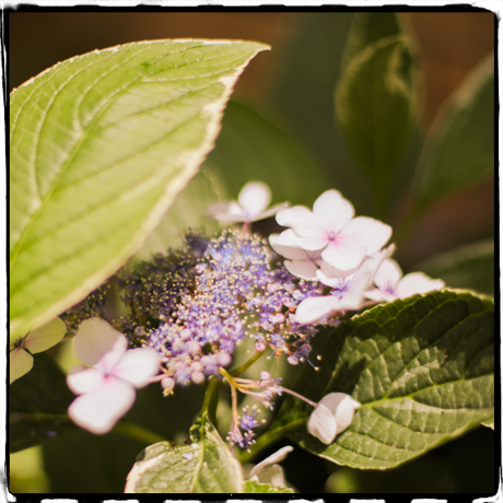 理事長ブログ20180705