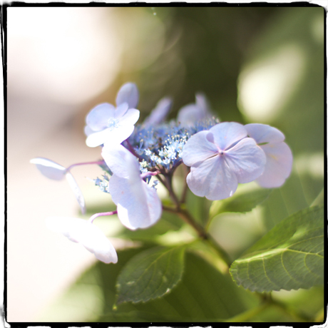 理事長ブログ20180705